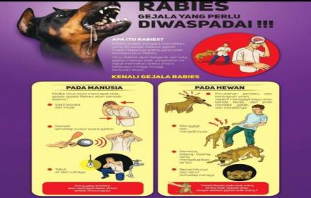 Upaya pencegahan rabies di Desa Madenan